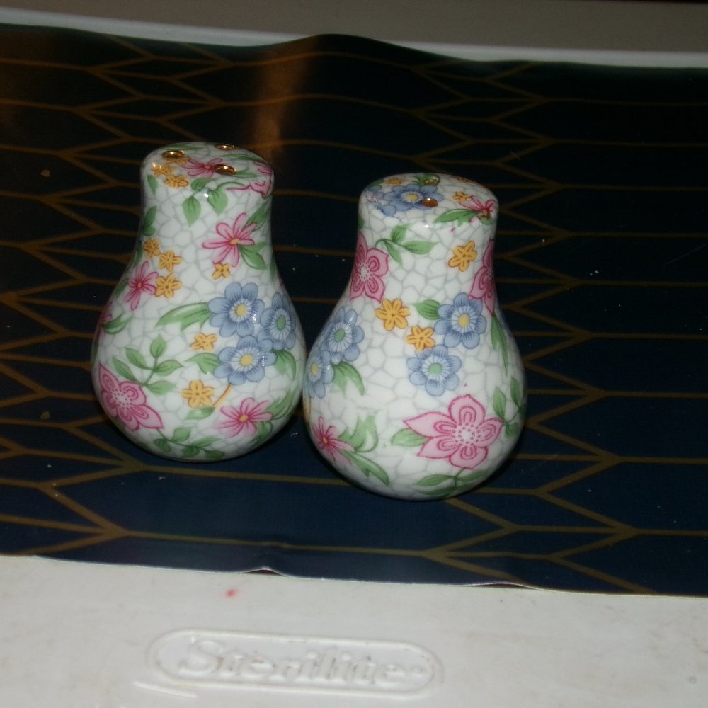 fine china glass salt & pepper shakers.